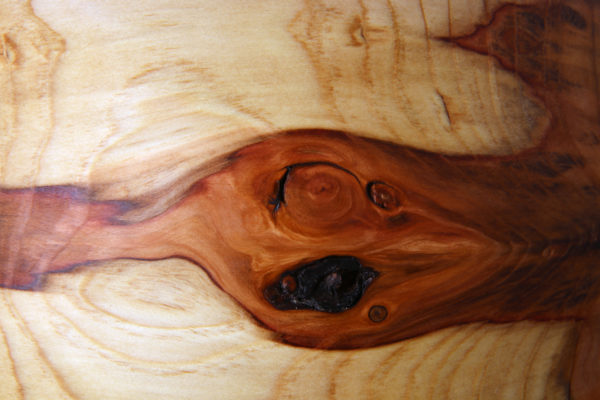 Schale Mammutbaum – Bild 3