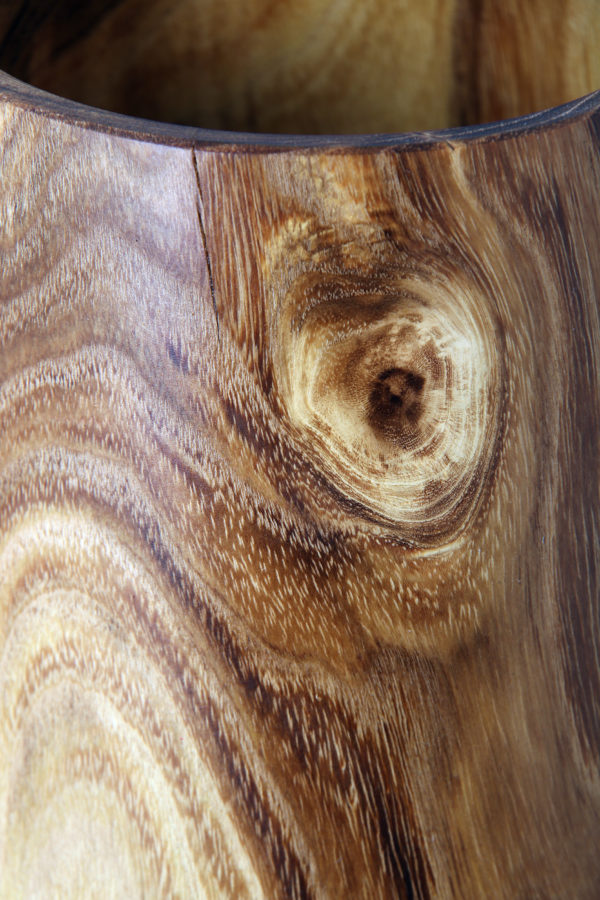 Vase Scheinakazie – Bild 3