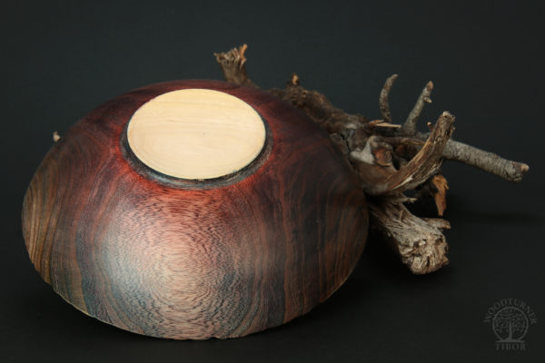 Ulmen-Schale – Bild 4